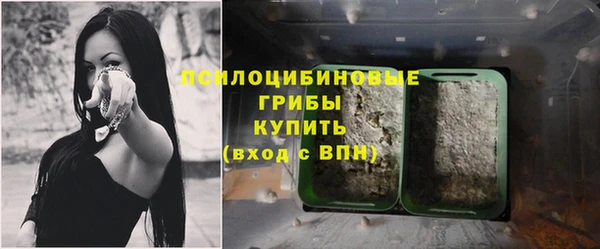 бошки Горняк