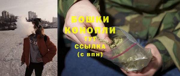 бошки Горняк