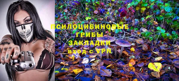 бошки Горняк