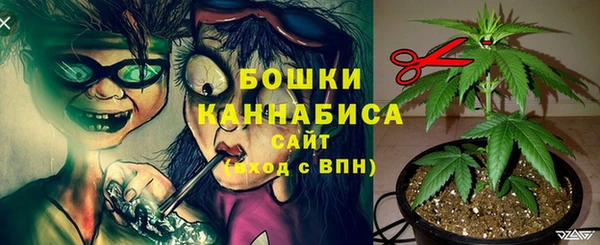первитин Горнозаводск