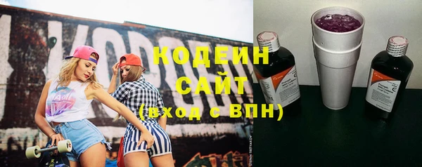 твердый Гусь-Хрустальный