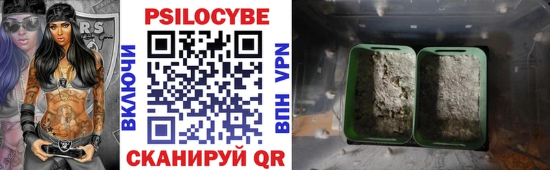 Галлюциногенные грибы мухоморы  где купить   Чёрмоз 
