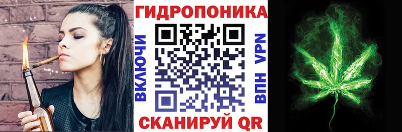 Бошки марихуана индика Чёрмоз